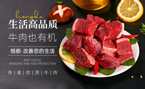 恒都食品官网